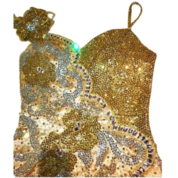 Couture Fully Beaded in Swarovski Crystals Fringes Flowers Prom Party Dress Gown - Picture 5 of 12